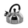 Whistling Stainless Steel Tea Kettle